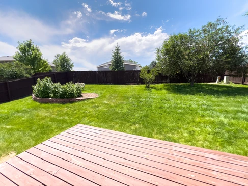 Aménagement paysager d'un jardin résidentiel avec pelouse fraîchement installée, massifs plantés de végétaux d'ornement et paillis sombre