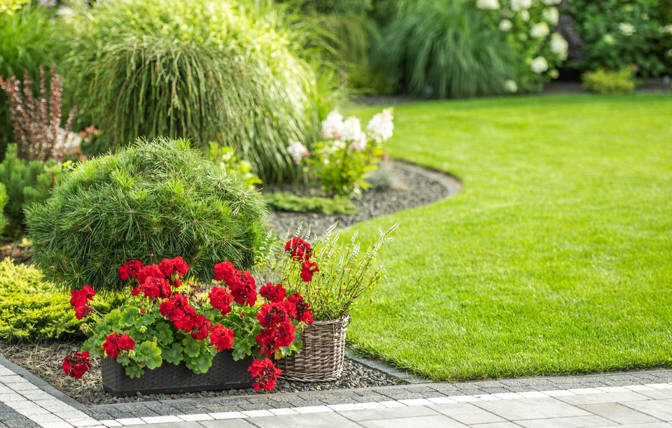 Jardin paysager avec topiaires sculptées en formes géométriques, arbustes taillés en boules et cônes