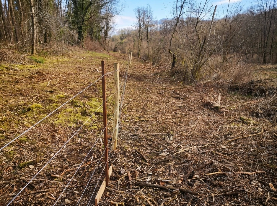 Extérieur urbain, ouvrier utilisant une tronçonneuse sur un tronc d'arbre abattu, copeaux et sciure volent, bâtiments en arrière-plan, végétation visible
