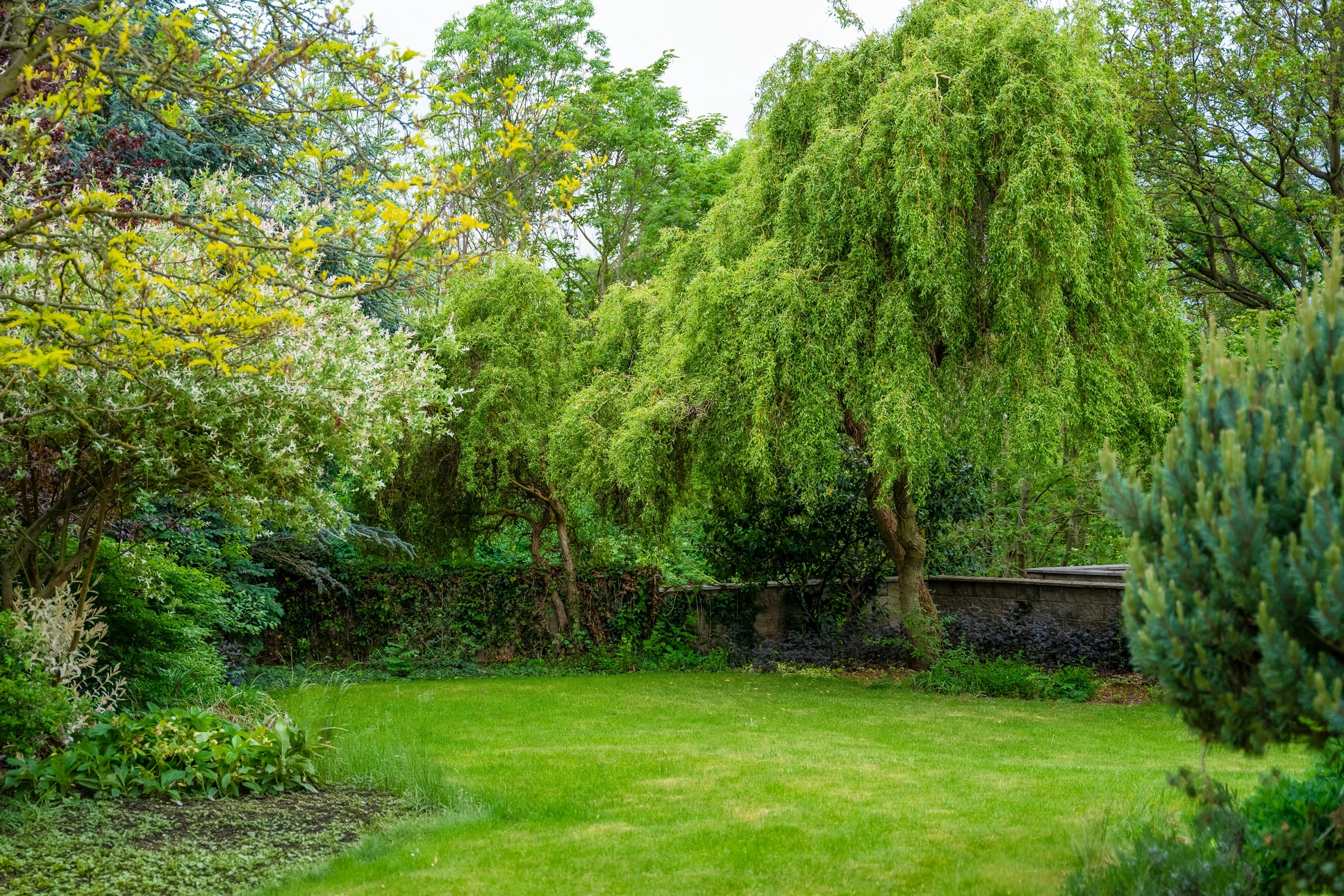 Homme en t-shirt beige utilisant une tondeuse à gazon autoportée dans un jardin paysager au coucher du soleil