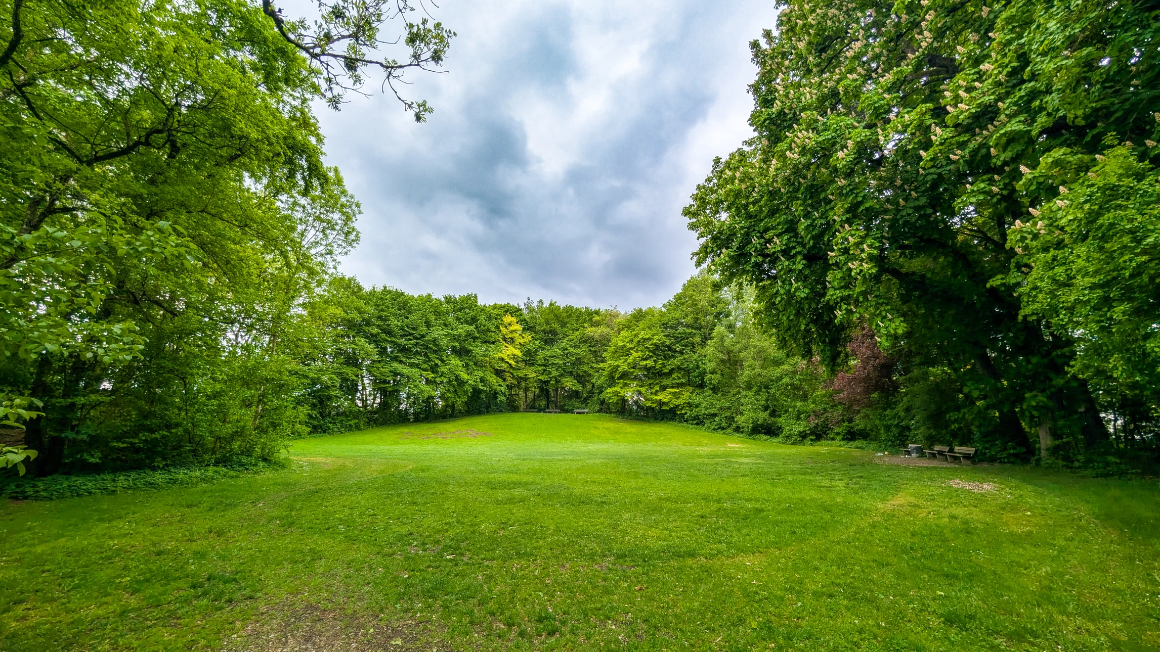 Terrain en friche densément envahi de broussailles, ronces, herbes hautes et débris végétaux entrelacés, avec quelques arbustes mal entretenus et une végétation anarchique couvrant l'ensemble du sol, photographié sous un angle montrant l'ampleur du désordre naturel avant intervention de nettoyage.